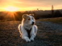1111  Felix-SAM_0989-1-Kopie